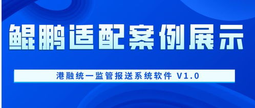 鯤鵬適配案例展示 港融統(tǒng)一監(jiān)管報送系統(tǒng)軟件 v1.0 與信息技術(shù)咨詢服務(wù)